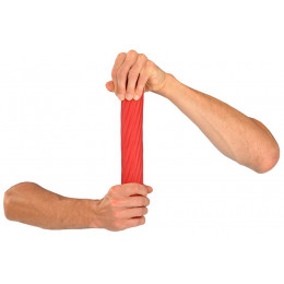 Exercise Bar