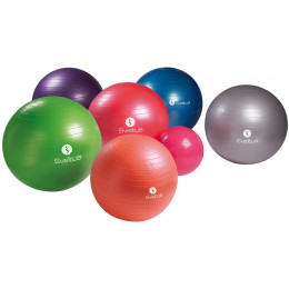 Ballon Economique Gymball ø75 cm SVELTUS - couleur variable (destockage)