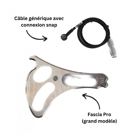 Fascia PRO Winback avec câble de connexion